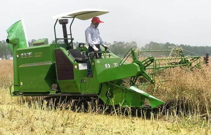 0qa型油菜收割机正在进行油菜收割作业演示