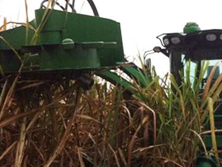 王坚:谁来破解我国甘蔗收割机械化的困局?_农
