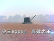谷王8000A联合收割机宣传片