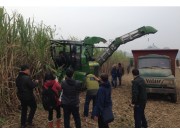 中联重科“谷王”甘蔗机 助力广西“双高”糖料蔗基地建设