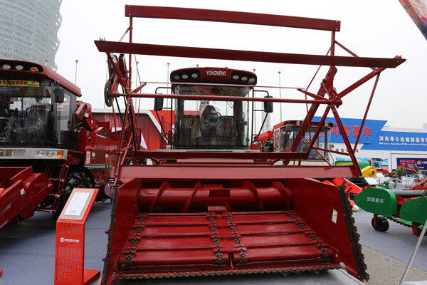 勇猛农机:强壮勇猛的意思:勇猛的战驹