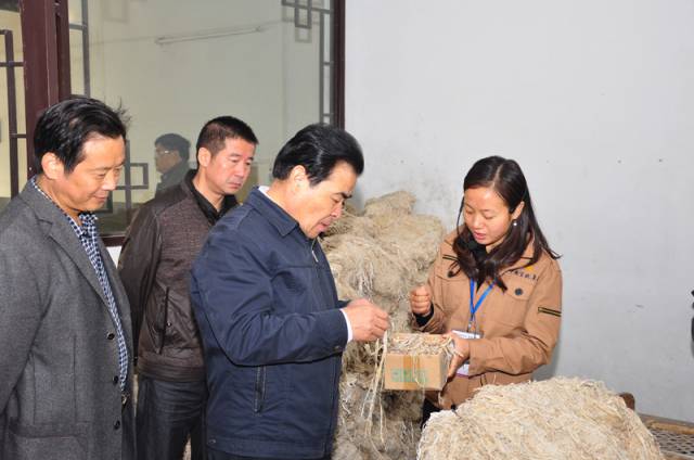 安徽省:刘绍太局长赴宣城调研农机购置