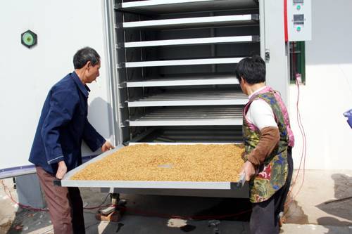 3月30日举行的嵊州水稻机插现场会上，工作人员现场演示种子发芽器的使用方法。