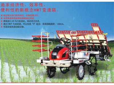 安徽国际京田RGO-8乘坐式水稻插秧机