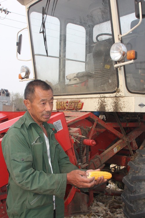 乔会峰向记者展示“雷沃谷神”玉米收割机的作业效果