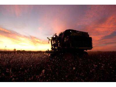 约翰迪尔采棉机@新疆