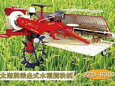 太湖2ZD-6300乘坐式水稻插秧机