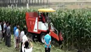 河北沃丰机械有限公司两行玉米收割机视频