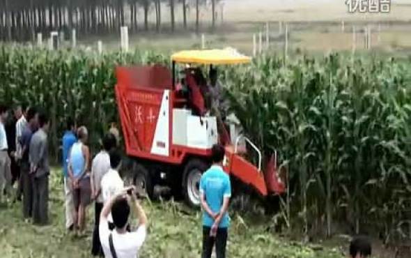 河北沃丰机械有限公司两行玉米收割机视频