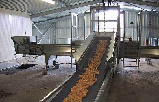 德国玉米种子加工厂