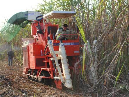 广东科利亚现代农业装备有限公司4GZ-91型履带式甘蔗联合收割机的新产品鉴定会
