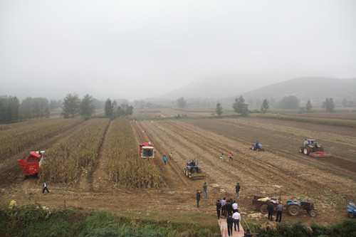 雷沃农业装备产品在农场高效作业