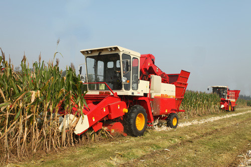 雷沃谷神玉米收割机正在进行田间作业