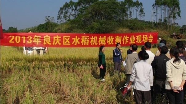 广西良庆区举办2013年晚稻机械收割现场演示会