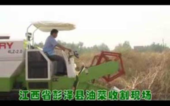 谷王系列小麦收割机作业视频