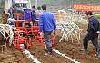 广西靖西县召开2013年甘蔗机械化种植现场会