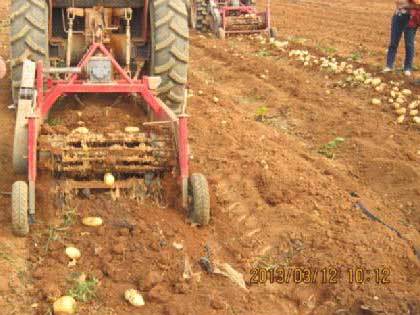 青岛洪珠农业机械有限公司生产的2MB-2型马铃薯播种机