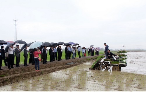奇瑞谷王高速插秧机正在田间作业