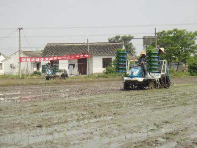 浙江平湖召開(kāi)水稻機(jī)械化育插秧現(xiàn)場(chǎng)會(huì)