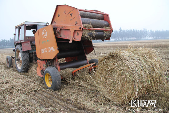 小麦联合收割机收割完小麦后，秸秆拾捡打捆机在田间自动拾捡麦秸。