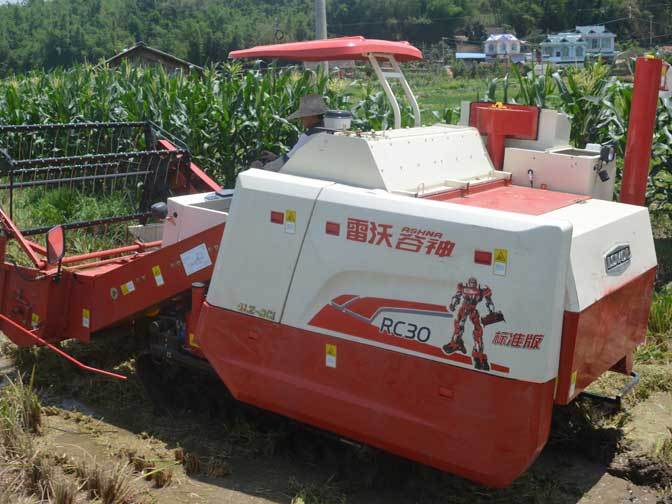 雷沃谷神RC30收割机穿过泥泞的稻田转场作业
