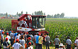 勇猛玉米机成为石家庄农机化技术演示会关注焦点