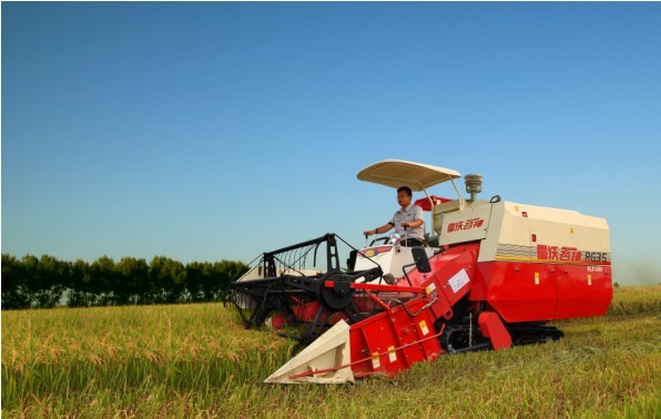雷沃谷神RG35水稻机正在田间作业