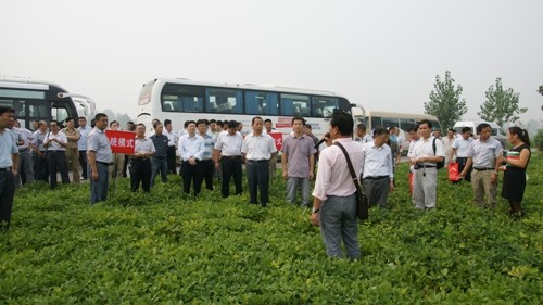 河南商丘寧陵花生機(jī)械化收獲現(xiàn)場(chǎng)會(huì)