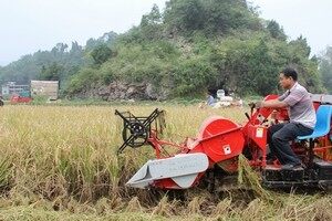 重庆武隆县举办水稻机收现场会