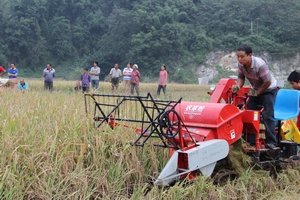重庆武隆县举办水稻机收现场会
