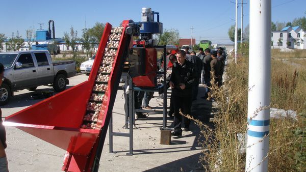 新疆昭苏县召开大蒜种植机械演示会