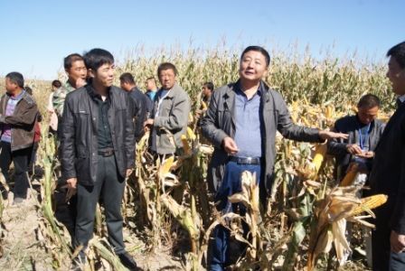 吉林乾安县召开保护性耕作技术观摩会 