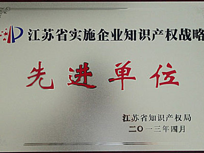 常发集团荣获“江苏省实施企业知识产权战略先进单位“称号”
