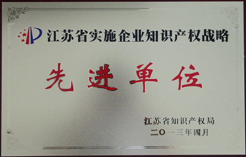 常發(fā)集團榮獲“江蘇省實施企業(yè)知識產(chǎn)權戰(zhàn)略先進單位“稱號”