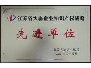 常发集团荣获“江苏省实施企业知识产权战略先进单位“称号”