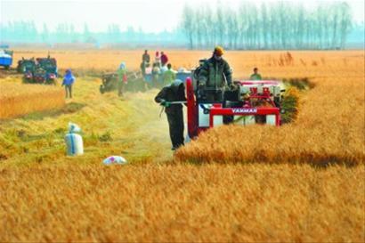 辽宁水稻生产全程机械化