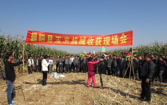 遼寧朝陽市朝陽縣召開玉米機(jī)械收獲現(xiàn)場會