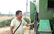机器好才是硬道理 跨区机收队钟爱奇瑞重工谷王收割机