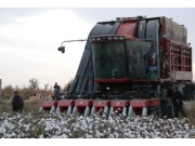 农十三师首次实现棉花机械化采摘