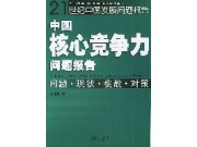 《中國(guó)核心競(jìng)爭(zhēng)力問(wèn)題報(bào)告》