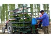 农二师二十五团：番茄育苗机械移栽为职工降本增效