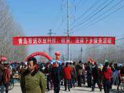 东风农机参加青岛市农机三下乡活动（图片一组）