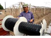 农五师八十九团：节水滴灌技术助推葡萄栽培新技术革命