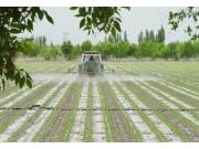农八师一四八团：集中100台套农机具对大豆进行化控作业