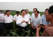 胡锦涛：真正使肥沃的黑土地成为国家可靠的大粮仓