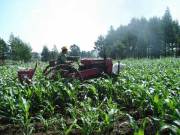 新华分公司农户巧改农机具破解玉米中耕追肥问题