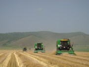 建边农场麦收工作全面展开
