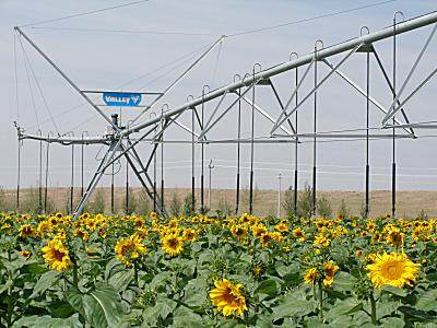 电动圆形喷灌机