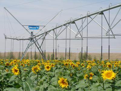 電動圓形噴灌機(jī)