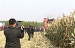 山东宁联举办玉米收获机械新产品现场演示会